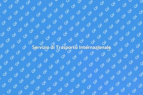 Trasporto Internazionale Specializzato