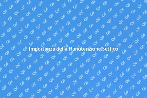 Manutenzione Sistema Settico Essenziale
