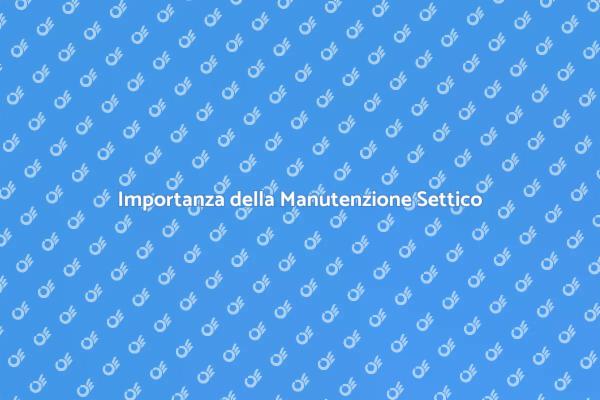 Manutenzione Settico: Guida Essenziale