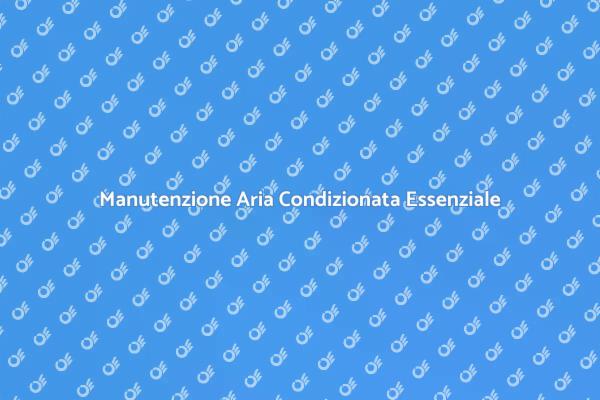 Importanza della Revisione Aria Condizionata