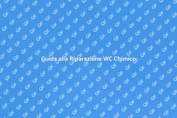 Risolvi Perdite nel WC Chimico