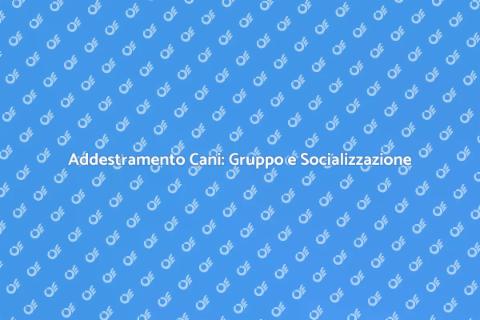 Addestramento Cani in Gruppo Efficace