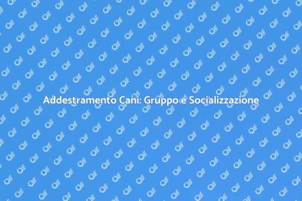 Addestramento Cani: Socializzazione Efficace