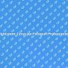 Impara Lightroom e Rivoluziona le Tue Foto