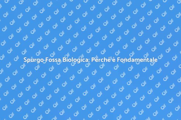 Manutenzione Fossa Biologica: Un Necessario