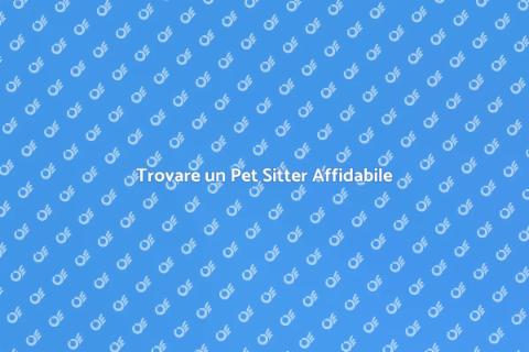 Pet Sitter Affidabile per il Tuo Amico
