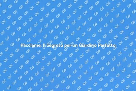 Pacciame: Trasforma il Tuo Giardino