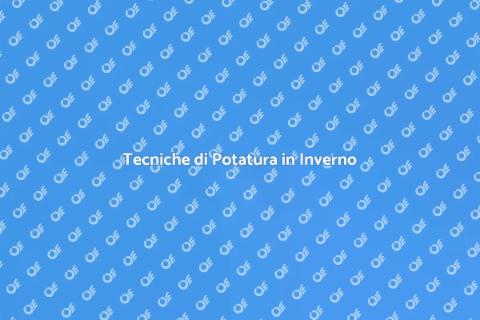 Potatura della Vite in Clima Freddo