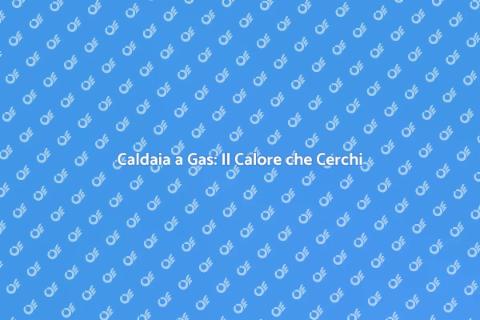 Nuova Caldaia a Gas: Comfort Invernale