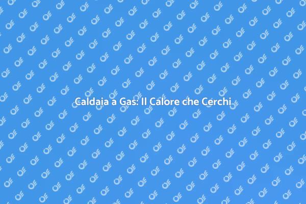 Investire in Caldaie a Gas per Comfort