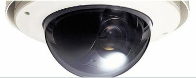 Isernia Technology  - Foto 3