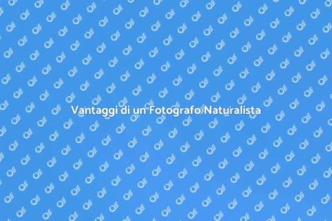 Ingaggiare un Fotografo Naturalista