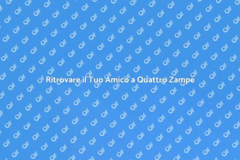 Servizio Completo di un Pet Detective