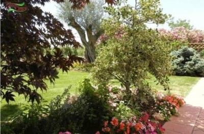 New Green Space  - Foto 5