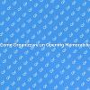 Creare un Opening di Successo