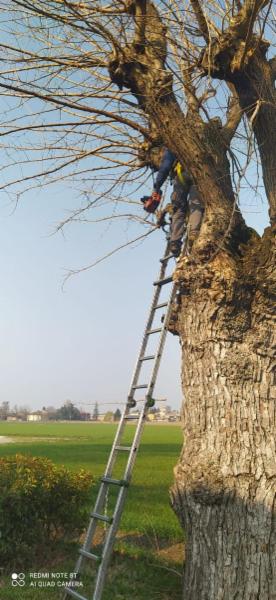 LE GIARDINIERE G. D. - Foto 7