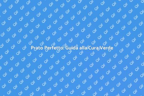 Cura del Prato: Trasforma il Tuo Giardino