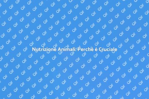 Nutrizione per Animali: L'Importanza