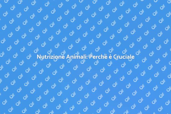 Alimentazione Sana per i Tuoi Animali