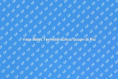 Vaso Bidet Termoidraulico: Innovazione