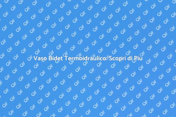Vaso Bidet Termoidraulico: Comfort Assicurato