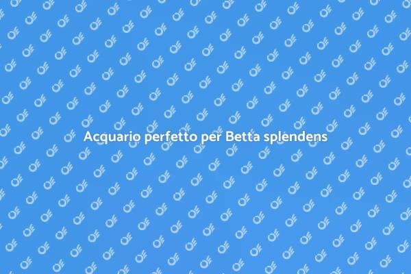 Guida all'acquario per pesci Betta