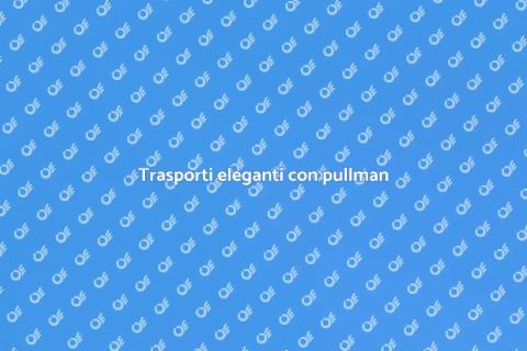 Noleggio pullman con autista