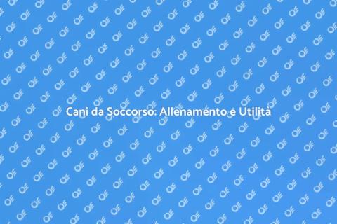 Allenamento Cani da Soccorso Ambientale