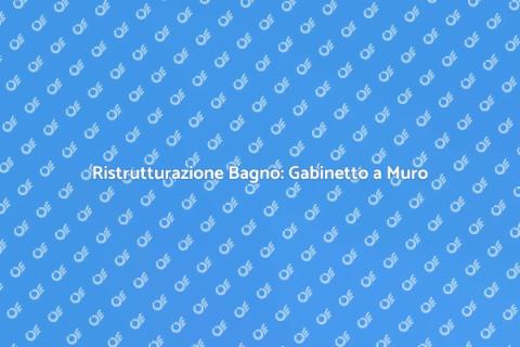 Installazione Gabinetto a Muro