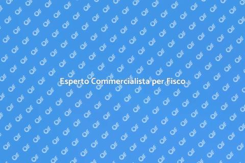 Commercialista per Imposte sul Reddito
