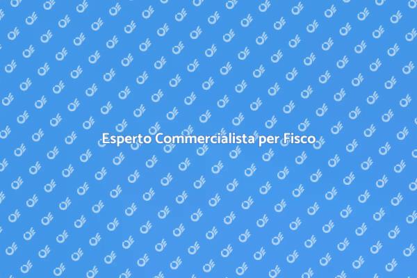 Servizi di Commercialista per le Imposte