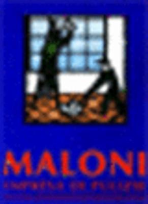 Impresa di Pulizie Maloni  - Foto 1