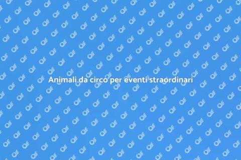 Affitto animali da circo per eventi