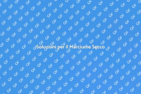 Riparare il Marciume Secco in Casa