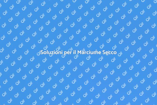 Ripristina la Tua Casa dal Marciume Secco