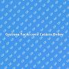 Catasto Online: Semplice e Veloce