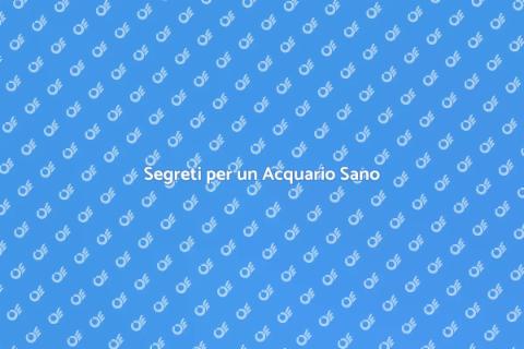 Equilibrio Chimico dell'Acquario