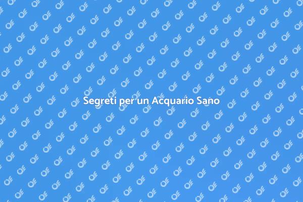Garantire un Acquario Sano e Vibrante