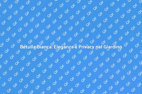 Siepe di Betulla Bianca per il Giardino