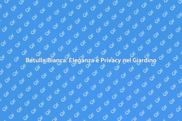 Siepe di Betulla: Eleganza e Privacy