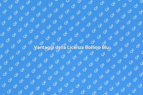 Licenza Bollino Blu Caldaia: Vantaggi