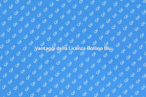 Bollino Blu: Sicurezza per la Tua Caldaia