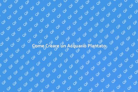 Acquario Plantato: Guida all'Inizio