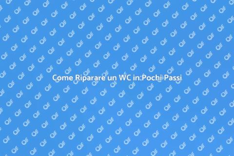 Riparare un WC Senza Stress