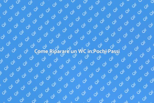 Soluzioni per un WC Malfunzionante