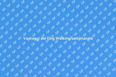 Dog Walking Settimanale per il Tuo Cane