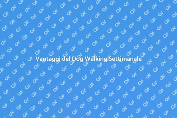 Rendi Felice il Tuo Cane con il Dog Walking