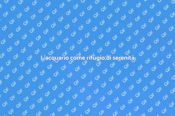 Trasforma la tua vita con un acquario