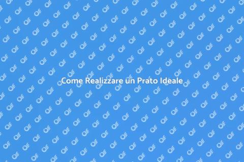 Far Crescere un Prato Perfetto