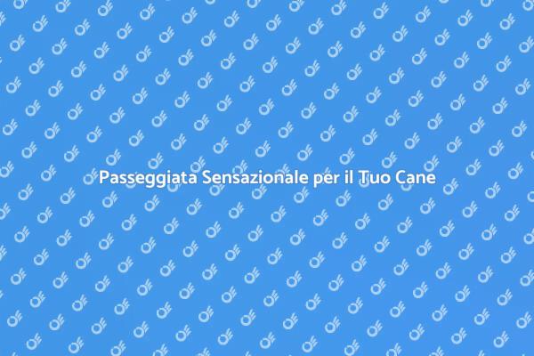 Trasforma la Passeggiata del Tuo Cane
